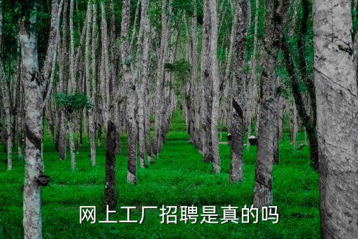 網(wǎng)絡(luò)招聘信息，怎樣在網(wǎng)上發(fā)招工信息