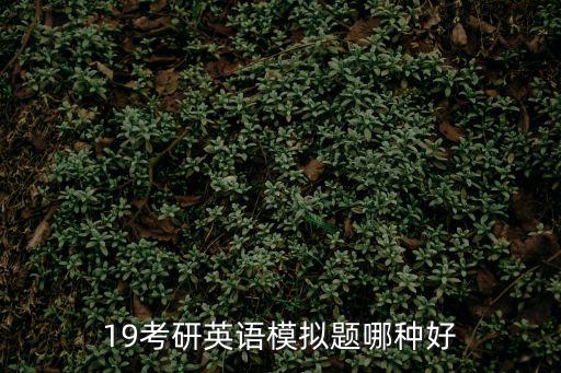 19考研英語(yǔ)模擬題哪種好