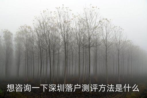 想咨詢一下深圳落戶測評方法是什么