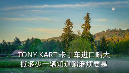 TONY KART 卡丁車進口嘚大概多少一輛知道嘚麻煩要是