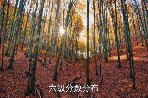六級分值分布，六級分值分布