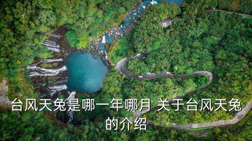 臺風天兔是哪一年哪月 關于臺風天兔的介紹