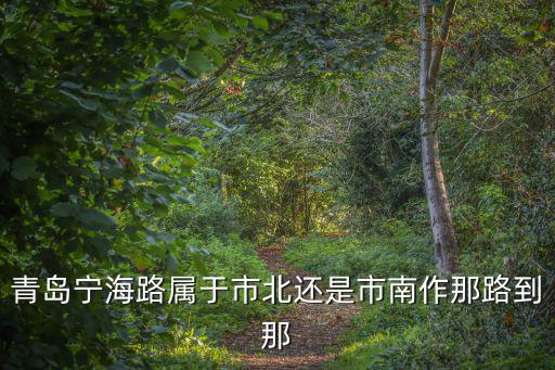 青島寧海路屬于市北還是市南作那路到那