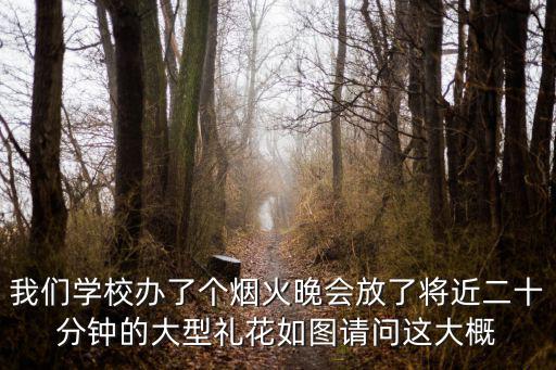 我們學(xué)校辦了個(gè)煙火晚會(huì)放了將近二十分鐘的大型禮花如圖請(qǐng)問這大概