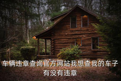 車輛違章查詢官方網(wǎng)站我想查我的車子有沒有違章