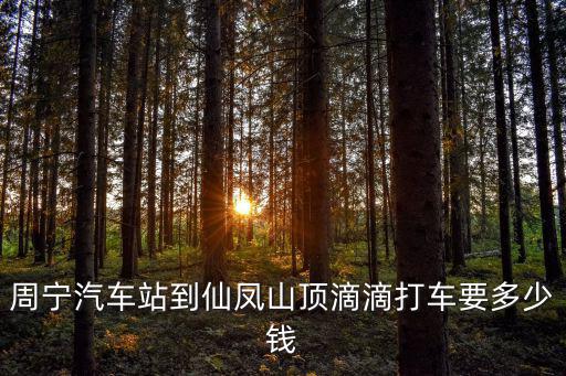 周寧汽車站到仙鳳山頂滴滴打車要多少錢