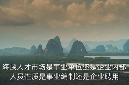 海峽人才市場(chǎng)是事業(yè)單位還是企業(yè)內(nèi)部人員性質(zhì)是事業(yè)編制還是企業(yè)聘用