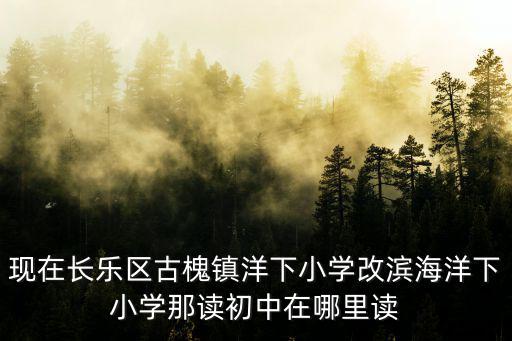 現(xiàn)在長樂區(qū)古槐鎮(zhèn)洋下小學改濱海洋下小學那讀初中在哪里讀