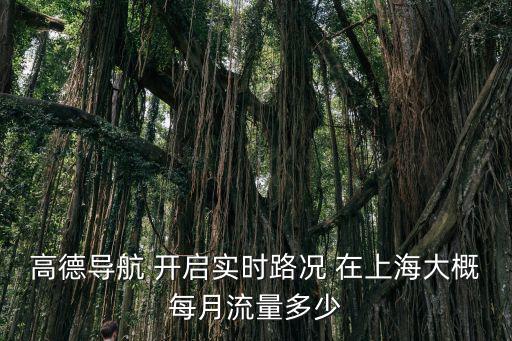 高德導(dǎo)航 開啟實時路況 在上海大概每月流量多少