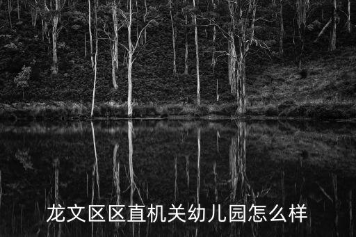 龍文區(qū)區(qū)直機關(guān)幼兒園怎么樣