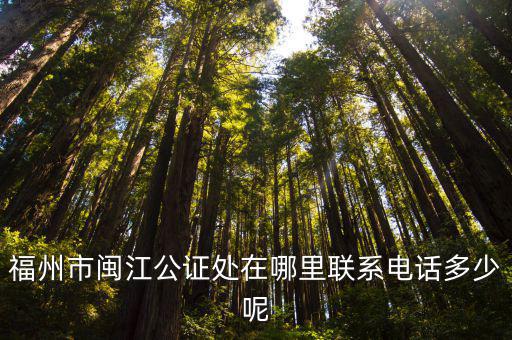福州市閩江公證處在哪里聯系電話多少呢