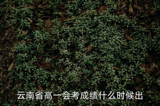 云南省高一會考成績什么時候出