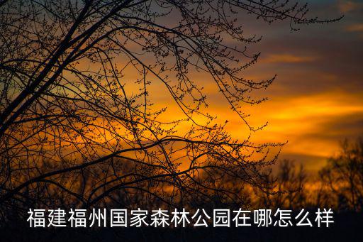 福州國家森林公園，請問福建福州國家森林公園在哪怎么樣
