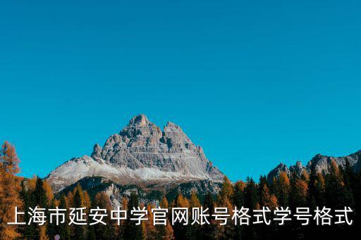 上海市延安中學官網賬號格式學號格式