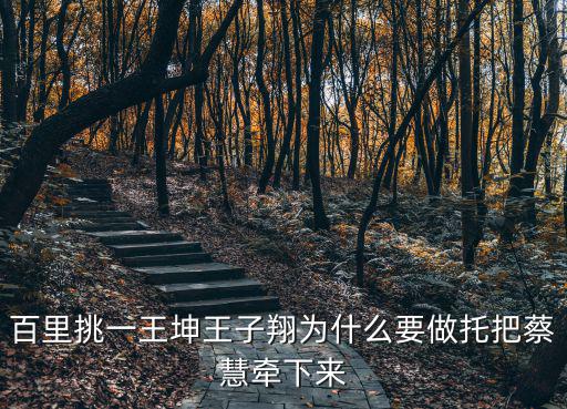 百里挑一王坤王子翔為什么要做托把蔡慧牽下來