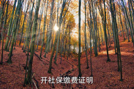 開社保繳費證明