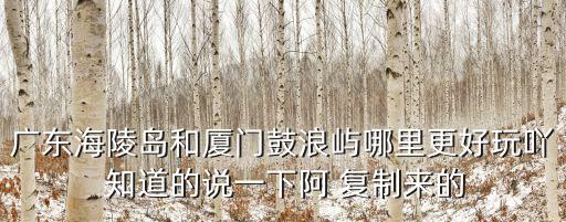 廣東海陵島和廈門鼓浪嶼哪里更好玩吖 知道的說一下阿 復制來的