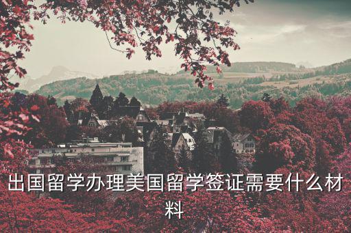出國留學辦理美國留學簽證需要什么材料