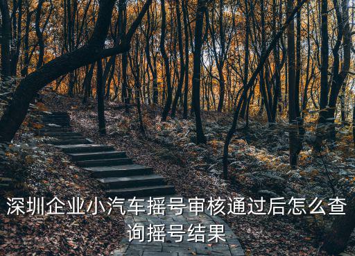 深圳企業小汽車搖號審核通過后怎么查詢搖號結果
