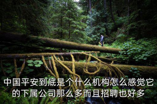 平安信托招聘，平安保險公司招聘為什么不說明是平安公司而是用其它的理財信