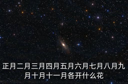 正月二月三月四月五月六月七月八月九月十月十一月各開(kāi)什么花