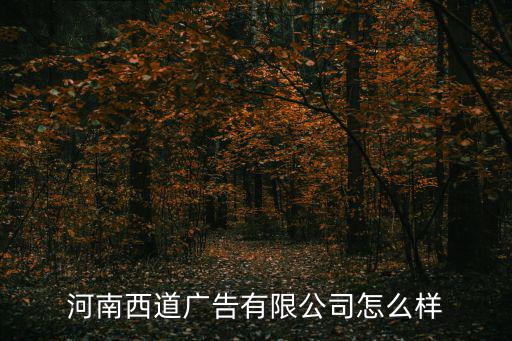 河南西道廣告有限公司怎么樣