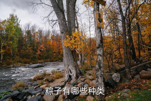 粽子有哪些種類