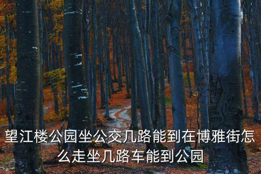 望江樓公園坐公交幾路能到在博雅街怎么走坐幾路車能到公園