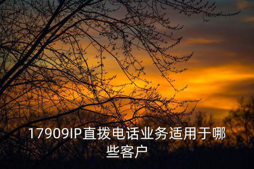 17909IP直撥電話業務適用于哪些客戶