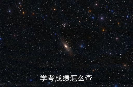 學考成績怎么查
