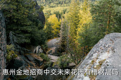 惠州金地招商中交未來花園有槽鋼層嗎
