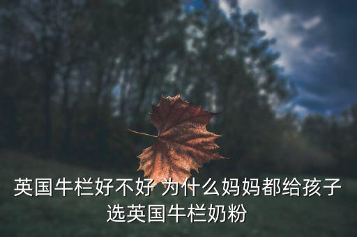 英國牛欄好不好 為什么媽媽都給孩子選英國牛欄奶粉