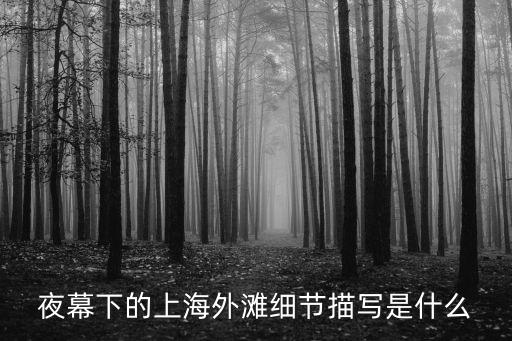 夜幕下的上海外灘細節描寫是什么