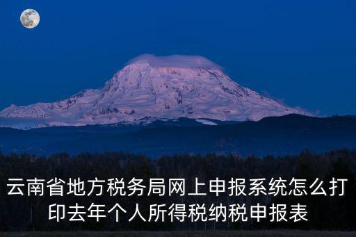 云南省地方稅務局網上申報系統怎么打印去年個人所得稅納稅申報表