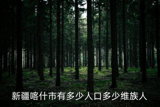 新疆喀什，喀什在新疆的什么地方