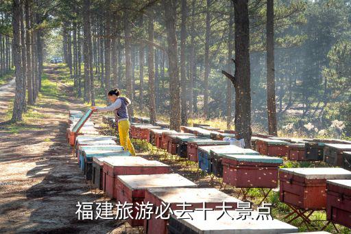 福建哪里好玩，福建有什么好玩的地方