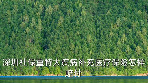 深圳社保重特大疾病補充醫療保險怎樣賠付