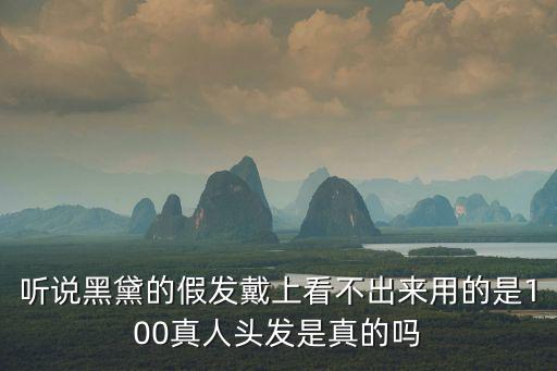 黑黛假發(fā)，黑黛補(bǔ)發(fā)到底好不好
