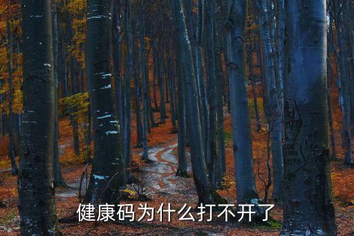 健康碼打不開，健康碼打不開是什么原因