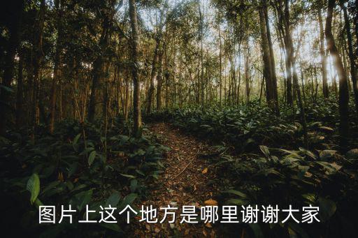 圖片上這個地方是哪里謝謝大家