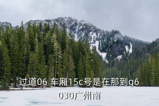 過道06 車廂15c號是在那到g6030廣州南