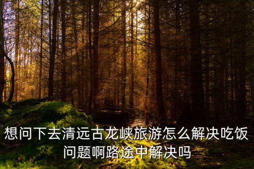 想問下去清遠古龍峽旅游怎么解決吃飯問題啊路途中解決嗎