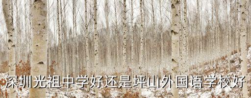 深圳光祖中學好還是坪山外國語學校好