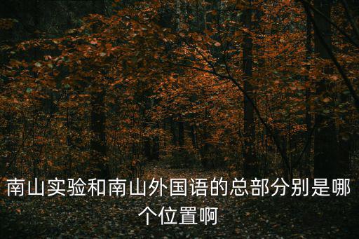 南山實驗和南山外國語的總部分別是哪個位置啊