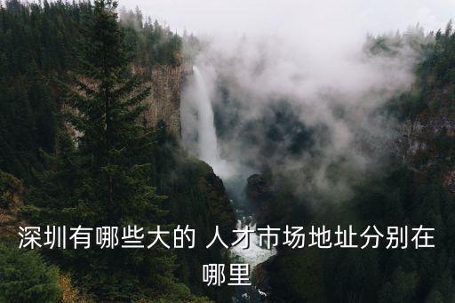 深圳有哪些大的 人才市場地址分別在哪里