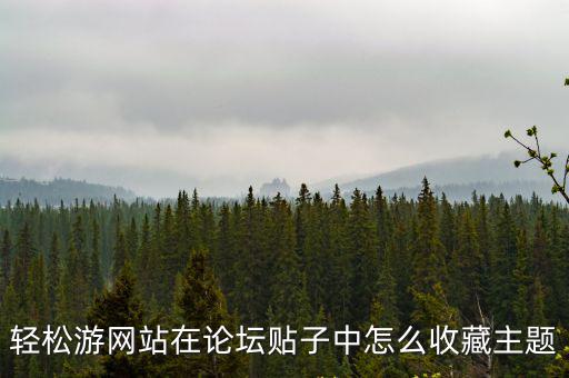 輕松游網(wǎng)站在論壇貼子中怎么收藏主題