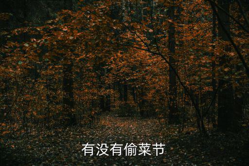 偷菜節，苗族偷菜節的介紹