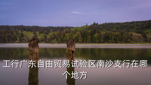 工行廣東自由貿易試驗區南沙支行在哪個地方