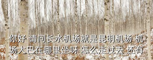 你好 請問長水機場就是昆明機場 機場大巴在哪里坐呀 怎么走過去 還有
