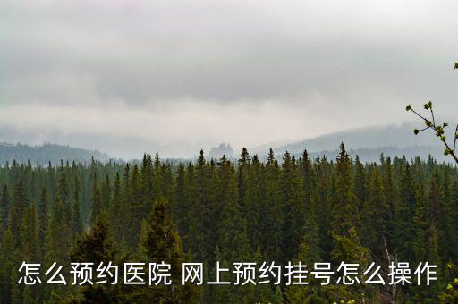 怎么預約醫院 網上預約掛號怎么操作